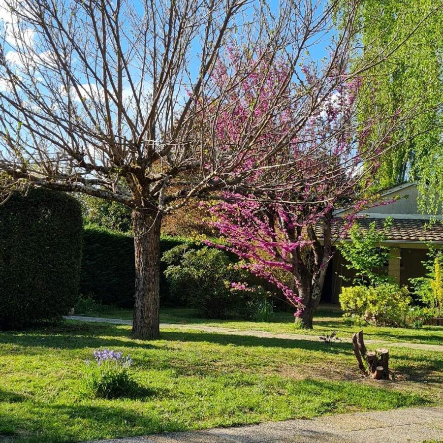 Les Cedres Bleus Bed and Breakfast Saint-Medard-de-Mussidan Buitenkant foto