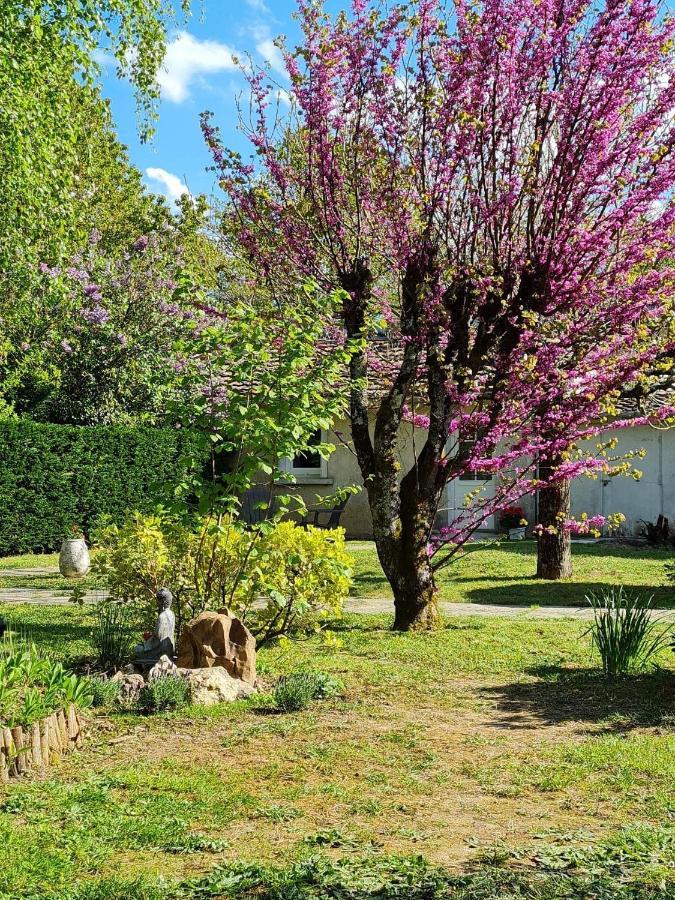 Les Cedres Bleus Bed and Breakfast Saint-Medard-de-Mussidan Buitenkant foto