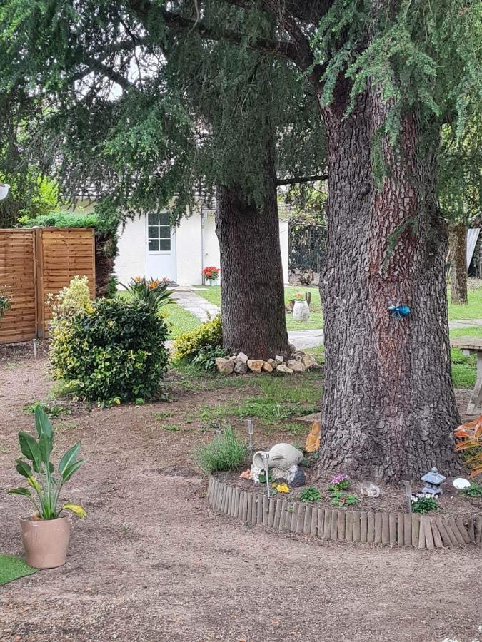 Les Cedres Bleus Bed and Breakfast Saint-Medard-de-Mussidan Buitenkant foto